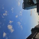 (주)청국 | # 개항장축제 (9월 20일) + 애견동반 냉삼집 짱맛 신포동식당 후기!