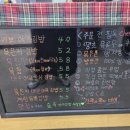 숲속꼬마김밥
