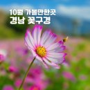 삼문송림길 | 경남 꽃구경 10월 가볼만한곳 부산근교 나들이