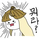 탑점핑&온열다이어트 이미지