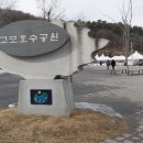 고모리 저수지광장 이미지