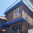 서울숲카페 미디엄스톤 아메리카노 선스톤 소르베에이드 블루베리바스크치즈케이크 후기