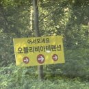 오블리비아테 | [가평 펜션 카라반추천] 수영장+카라반 감성 끝판왕! 오블리비아테 리얼 후기