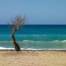 과정유치원 이미지