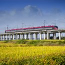 대장주유소 이미지