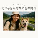 스테이동물병원 | 반려동물 여행지 BEST 5 - 우리 댕댕이랑 다녀온 찐 후기