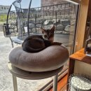 세모부동산공인중개사사무소 이미지