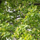 인천시청후문 이미지