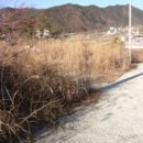 효성목장 이미지