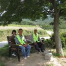 장에가던날 이미지