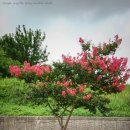 논산대로 이미지