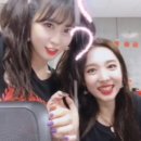 모모투어