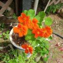 홍천산골놀이터 이미지