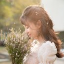 라본누벨