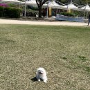 시화골프연습장 이미지