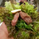 고기바보 이미지