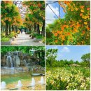 부천중앙공원매점 | 부천 공원산책 1부 - 부천중앙공원 능소화