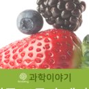 화성가스산업 이미지