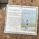 리틀포레스트 촬영지 이미지