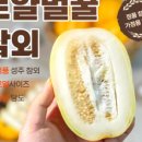 정량2농장 이미지