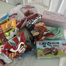 줌 갤러리카페 정이든케이크 | 제주 오기 전 일상