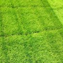 월남농장 이미지