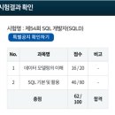강서공업고등학교 | 비전공자 SQLD 1트 합격 후기(노베이스, 가성비 공부)