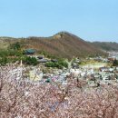 비봉자전거 | [진주 8경]제6경 비봉산의 봄