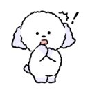 오리진 동물피부과병원 이미지