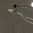 명랑핫도그첨단2호점 | 쉬어가기ㅣ지극히 개인적인 일상 기록(251209~)