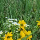 규남농장 이미지