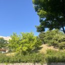 강동 | [경주 숙소추천] 경주 강동리조트 프라이빗콘도 55평 객실 후기(찜질방, 다도실, 대가족 여행 추천)