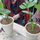 주월건강생활지원센터 이미지