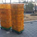 대신익스프레스 | 원주포장이사 직접 맡겨본 후기, 대신익스프레스 만족 후기