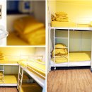 스테이 심심 이미지