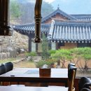 우둠지 풍천장어 이미지