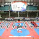 호국태권도체육관 이미지