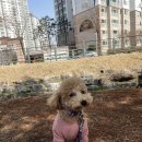 에듀케어-온
