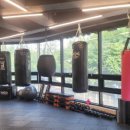 TSQ BOXING 이미지