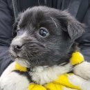 사림동125 이미지