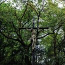 이영덕 | <내가가본>🌿 영혼의 안식처, 천주교 남한산성 순교성지