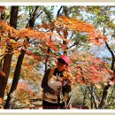 충북/보은-속리산(문장대)&보은 대추축제 2부 이미지