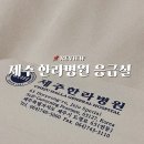 제주 한라병원 응급실 고등어조림 먹다가 가시 목에 걸린 바보 후기