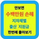 진천시민지역아동센터 | 🍼 2025년 출산지원금 한눈에 보기: 전국 지자체 비교 총정리