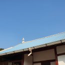 시골가마솥삼겹살 이미지