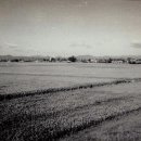 종환농장 이미지