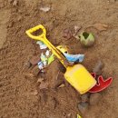 태룡초등학교 이미지