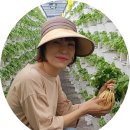 베데스다농장 이미지