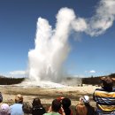 FRANK PARK 이미지