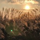 신전목장 이미지